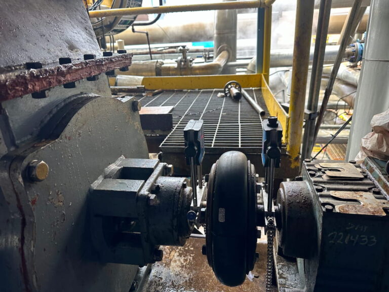 Imagen de WhatsApp 2025-06-28 a las 21.04.54_51cf5622